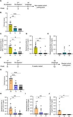 Disruption of IL-17-mediated immunosurveillance in the respiratory mucosa results in invasive Streptococcus pyogenes infection